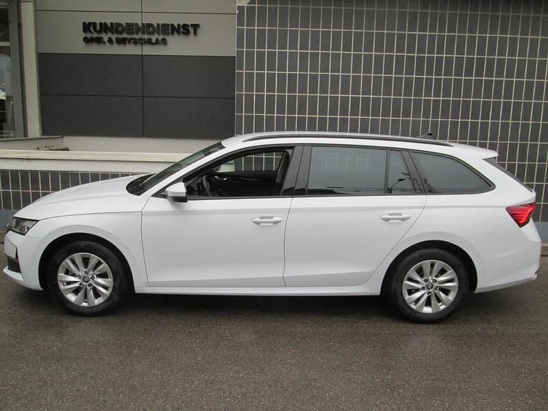 Gebraucht Skoda Octavia 150 PS (110 kW) 2025 Weiss Kombi