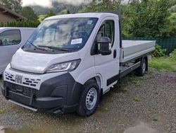 Weiß Neu 2025 Fiat Ducato Van | € 41.990