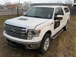 Weiß Gebraucht 2014 Ford F-150 Abholung | € 24.990