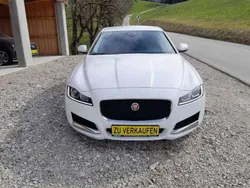 Weiß Gebraucht 2016 Jaguar XF Prestige Limousine | € 16.990 (Teuer)