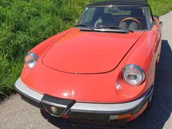 Rot Gebraucht 1985 Alfa Romeo Spider Cabrio | € 17.500