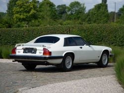 Weiß Gebraucht 1989 Jaguar XJS S Coupé | € 18.500