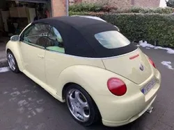 VW Beetle