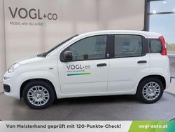 Weiß Neu 2025 Fiat Grande Panda Kleinwagen | € 14.750 (Superpreis)