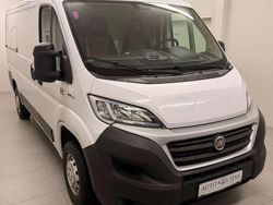 Weiß Gebraucht 2019 Fiat Ducato Van | € 16.950 (Superpreis)