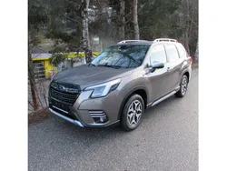 Braun brilliant bronze metallic metallic Gebraucht 2023 Subaru Forester Style SUV | € 37.990 (Fairer Preis)