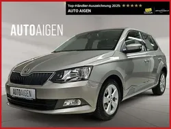 Beige Gebraucht 2016 Skoda Fabia Kleinwagen | € 9.470 (Fairer Preis)