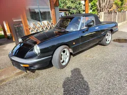 Schwarz Gebraucht 1987 Alfa Romeo Spider Veloce Cabrio | € 19.450