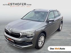 Grau Gebraucht 2024 Skoda Kamiq Selection SUV | € 24.998 (Guter Preis)