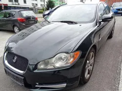 Grün Gebraucht 2011 Jaguar XF Premium Luxury Limousine | € 6.899 (Guter Preis)