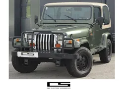 Grün Gebraucht 1993 Jeep Wrangler SUV | € 15.990