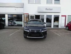 Schwarz Gebraucht 2020 Lexus NX300h SUV | € 37.990