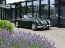 Grün Gebraucht 1958 Jaguar XK S Cabrio | € 169.000