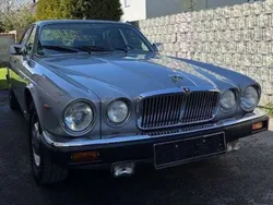 Silber Gebraucht 1984 Jaguar XJ6 Sovereign Limousine | € 7.500