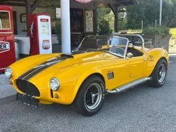 Gelb Gebraucht 1982 AC Cobra Cabrio | € 58.990