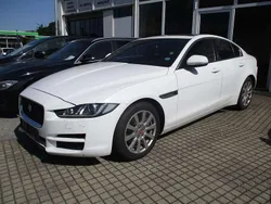 Weiß Gebraucht 2016 Jaguar XE Pure Limousine | € 9.800 (Etwas zu teuer)
