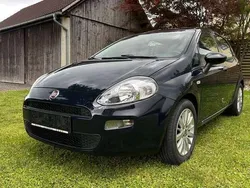 Gebraucht 2017 Fiat Punto Kleinwagen | € 6.600 (Fairer Preis)