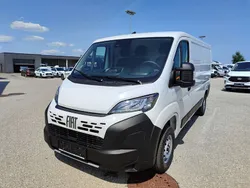 Icy weiss Neu 2025 Fiat Ducato S Van | € 33.890 (Guter Preis)