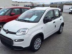Weiß Neu 2024 Fiat Panda Kleinwagen | € 14.290