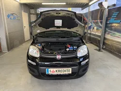 Schwarz Gebraucht 2014 Fiat Panda Trekking Kleinwagen | € 6.999 (Guter Preis)