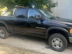 Schwarz Gebraucht 2005 Dodge Ram Abholung | € 12.000