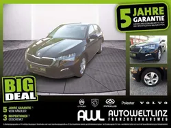 Schwarz Gebraucht 2023 Skoda Scala Kleinwagen | € 17.390 (Guter Preis)