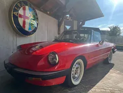 Rot Gebraucht 1984 Alfa Romeo Spider Cabrio | € 21.500