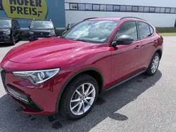 Rot Gebraucht 2019 Alfa Romeo Stelvio Tech Edition SUV | € 27.990 (Superpreis)