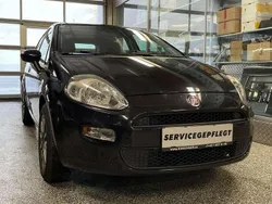 Schwarz Gebraucht 2013 Fiat Punto Easy Kleinwagen | € 4.990 (Fairer Preis)