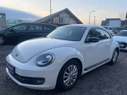 VW Beetle