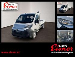 Weiß Neu 2025 Opel Movano Van | € 28.490 (Guter Preis)