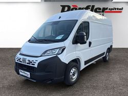 Neu 2025 Fiat Ducato Van | € 32.640 (Guter Preis)