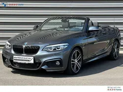 Mineralgrau Gebraucht 2020 BMW 220 M Sport Cabrio | € 29.530 (Superpreis)
