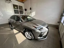 Grau Gebraucht 2019 Lexus NX300h Sport Line SUV | € 38.800