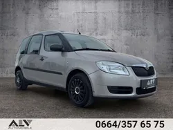Grau Gebraucht 2009 Skoda Roomster Kombi | € 5.490