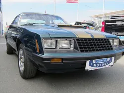 Grün Gebraucht 1979 Ford Mustang Coupé | € 15.800