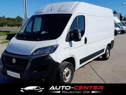 Weiß Gebraucht 2020 Fiat Ducato Van | € 19.990 (Etwas zu teuer)