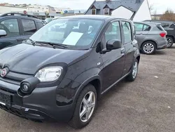 Schwarz Gebraucht 2023 Fiat Panda Cross Cross Kleinwagen | € 12.700 (Fairer Preis)