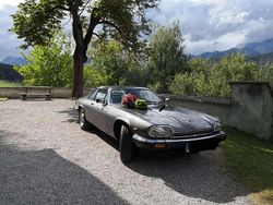 Grau Gebraucht 1985 Jaguar XJS S Coupé | € 18.900