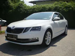 Weiß Gebraucht 2017 Skoda Octavia Style Limousine | € 11.990 (Guter Preis)