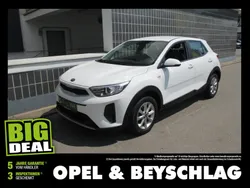 Weiss Gebraucht 2020 Kia Stonic SUV | € 12.380 (Guter Preis)