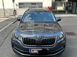 Gebraucht 2019 Skoda Kodiaq Active SUV | € 19.000 (Fairer Preis)