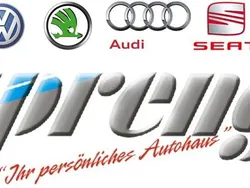 Gebraucht 2025 Skoda Fabia Essence Kleinwagen | € 15.499 (Superpreis)