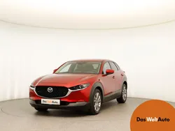 Dunkelrot metallic Gebraucht 2019 Mazda CX-30 Comfort SUV | € 17.990 (Guter Preis)