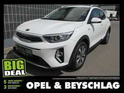 Weiss Gebraucht 2021 Kia Stonic Silver SUV | € 14.990 (Guter Preis)
