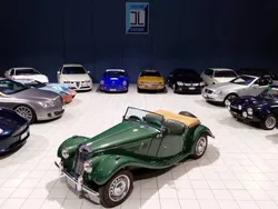 Grün Gebraucht 1954 MG TF Cabrio | € 39.000