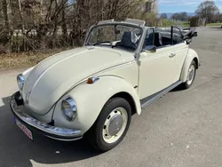 VW Käfer