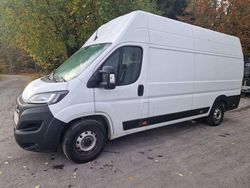 Weiß Gebraucht 2023 Fiat Ducato Van | € 24.999