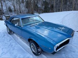 Gebraucht 1967 Pontiac Firebird | € 47.900