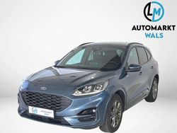 Blau Gebraucht 2024 Ford Kuga ST-Line SUV | € 37.490 (Teuer)